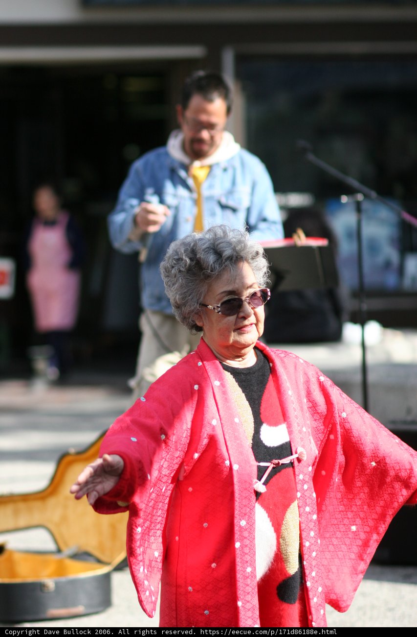 Lady in Red Kimono
