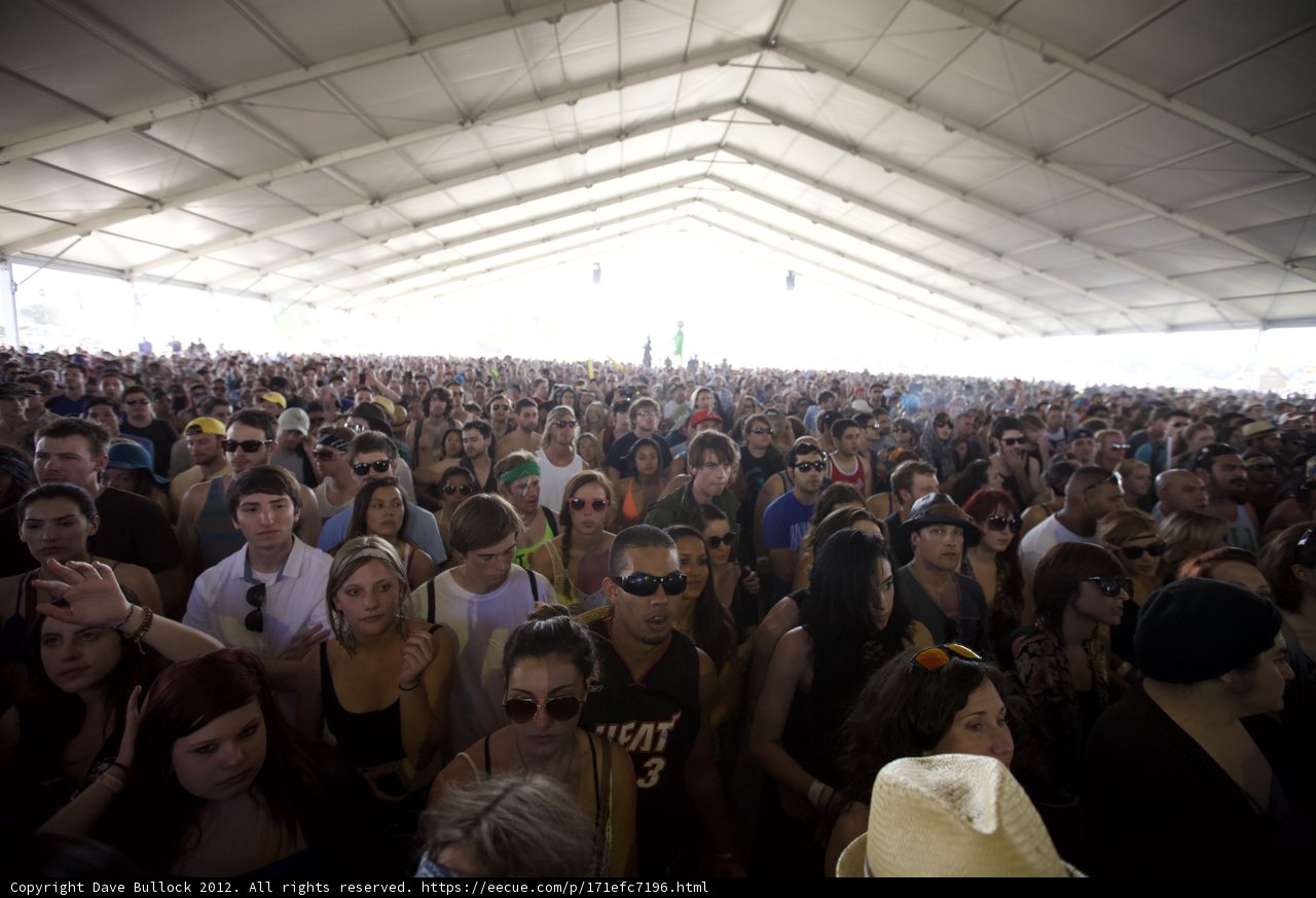 Coachella's Massive Crowd