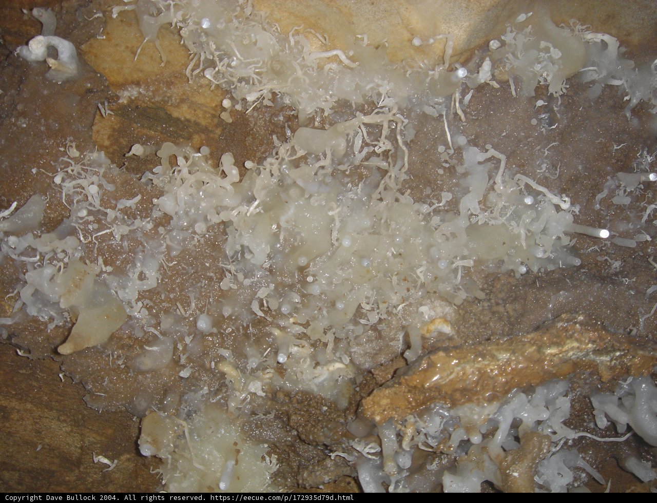 White crystals on cave rock