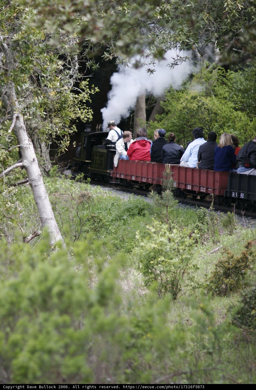 A Ride on the Real Train