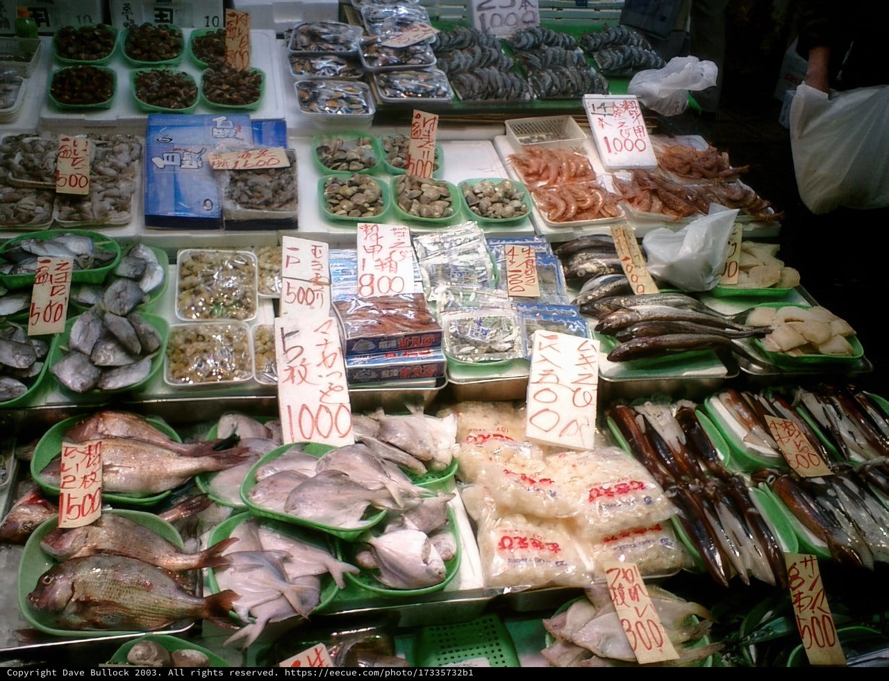 Seafood Galore at Okachimachi Market