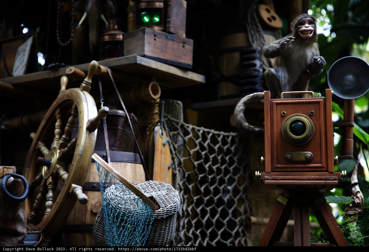 Monkeying Around with the Camera