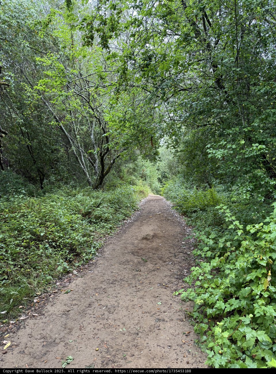 Nature's Pathway
