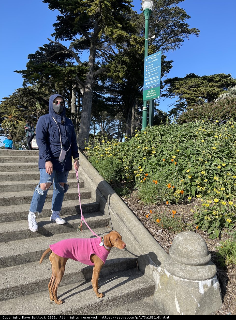 Masked Man and his Canine Companion Descend Stairs