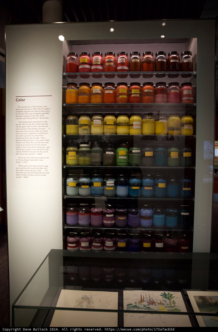 Vibrant Colors Display Case