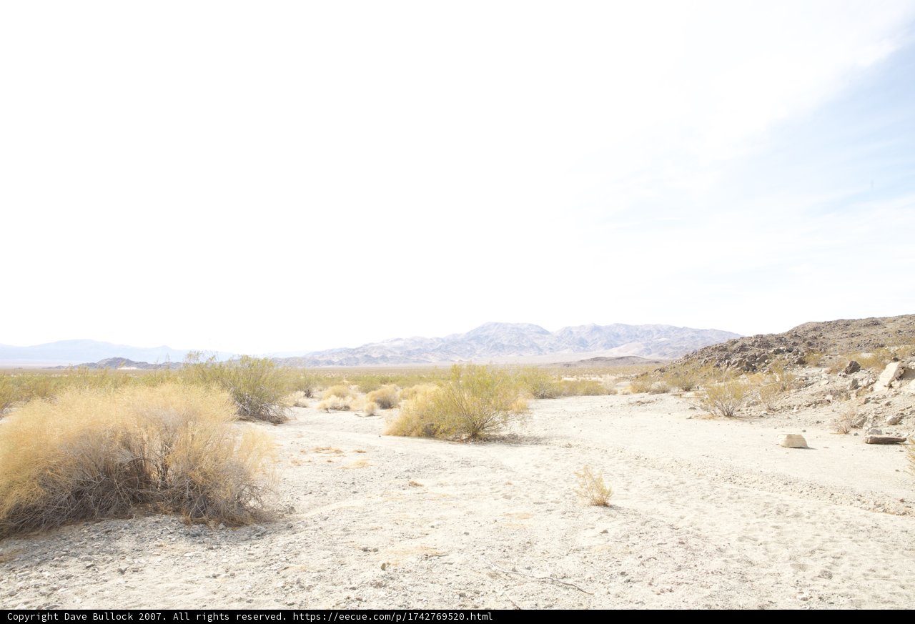 A Scenic Drive Through the Desert