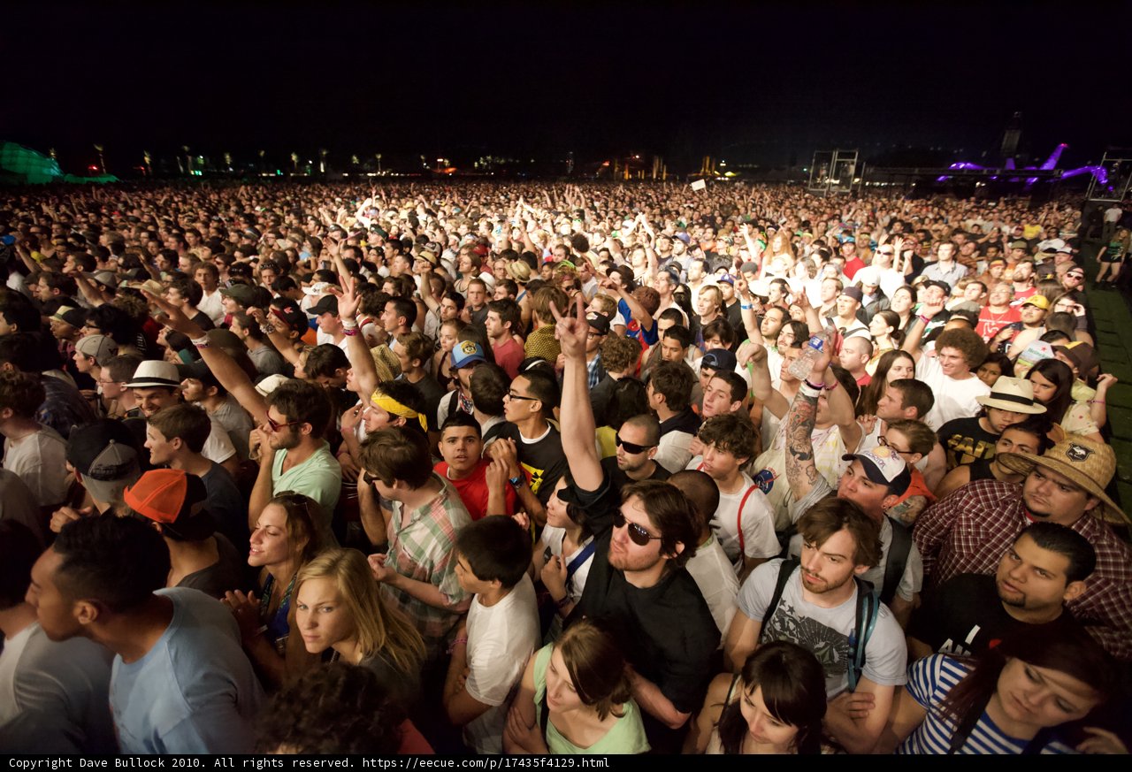 The Festive Crowd of Cochella