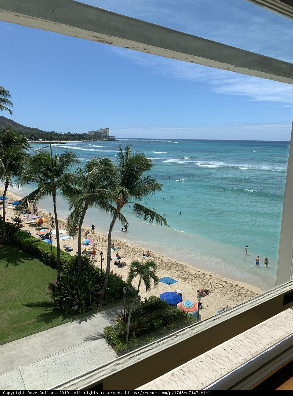 Tropical Paradise
