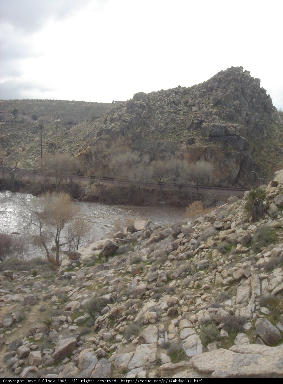 Rocky River in the Wilderness