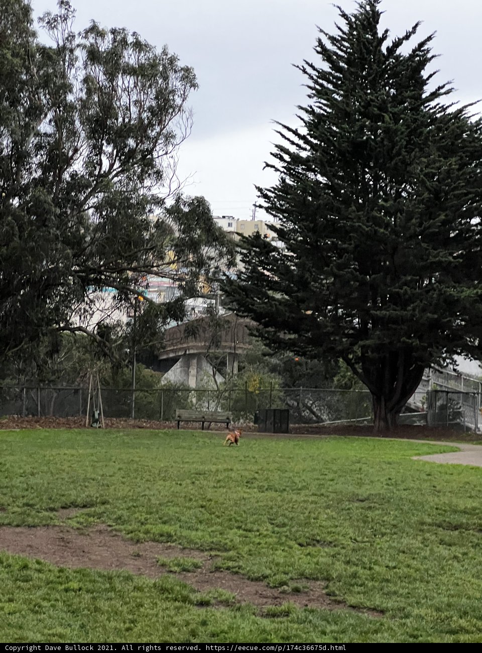 Running Free