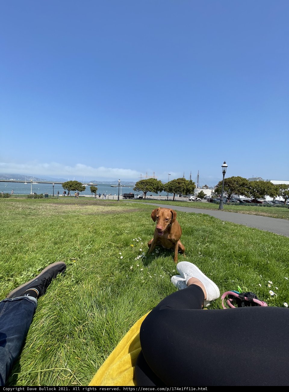A Man and His Best Friend