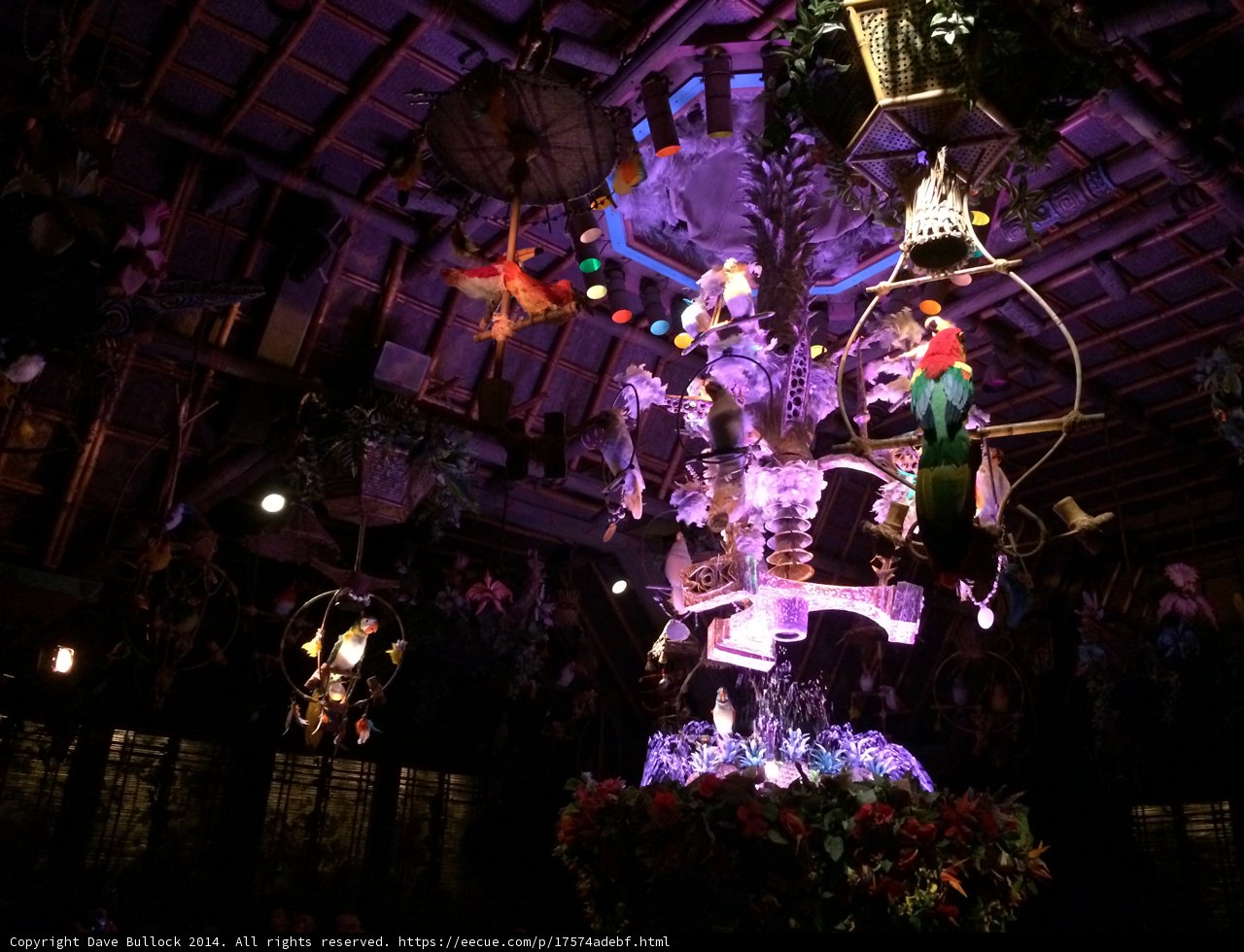 Nighttime Jungle Cruise Adventure
