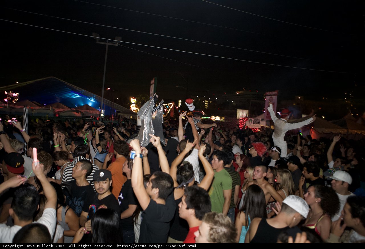 Nocturnal Beats