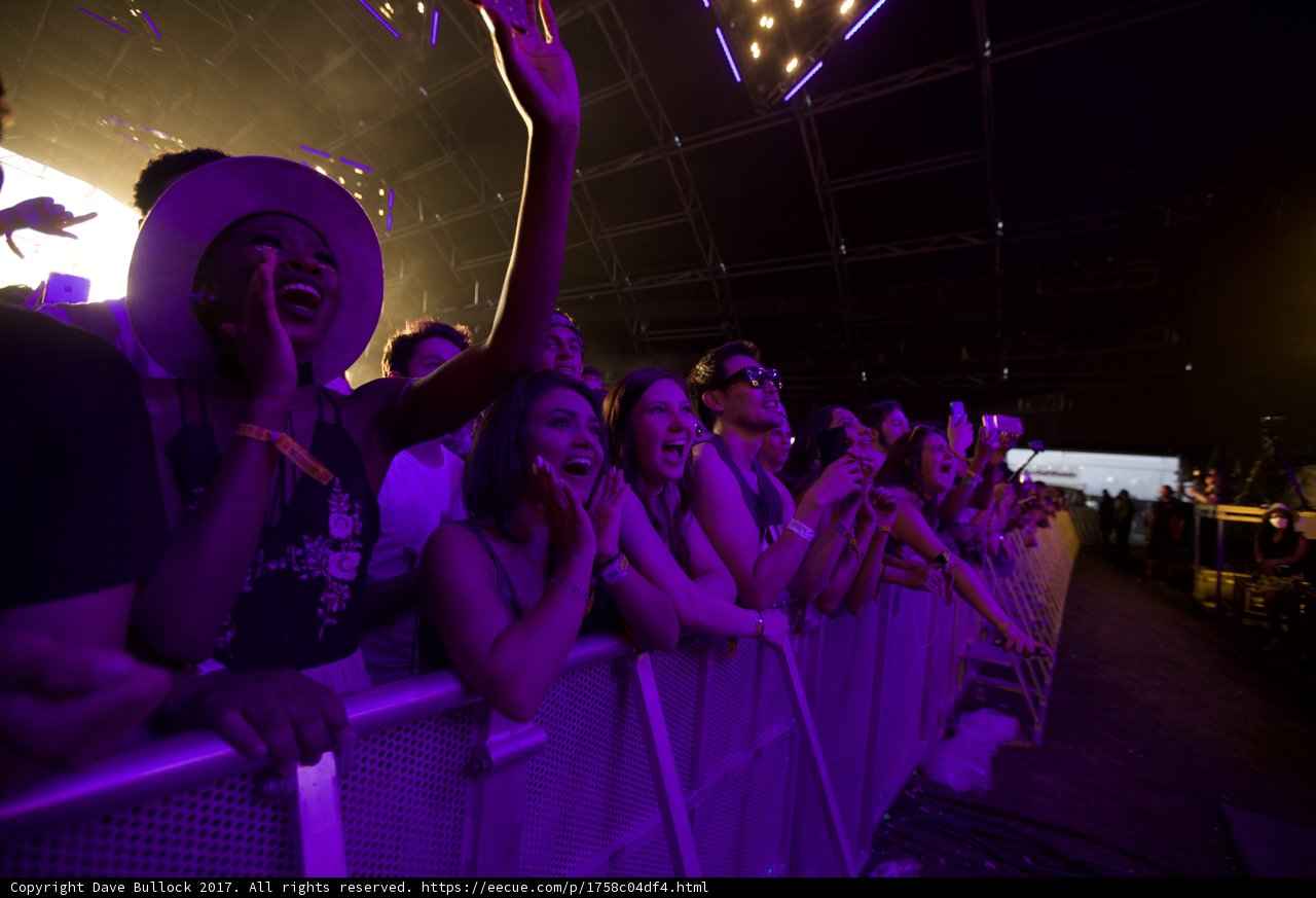 Crowd Goes Wild