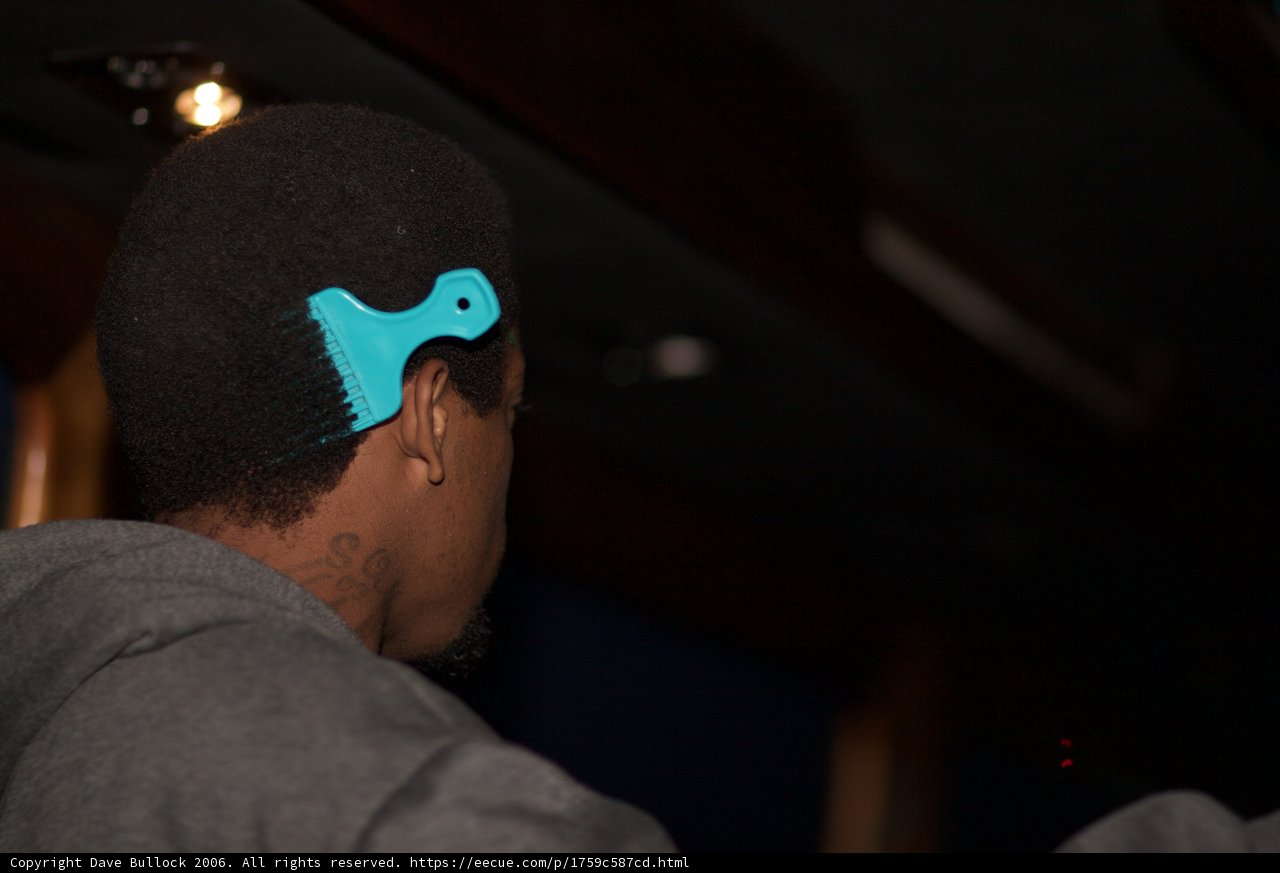 Blue Bird Hat