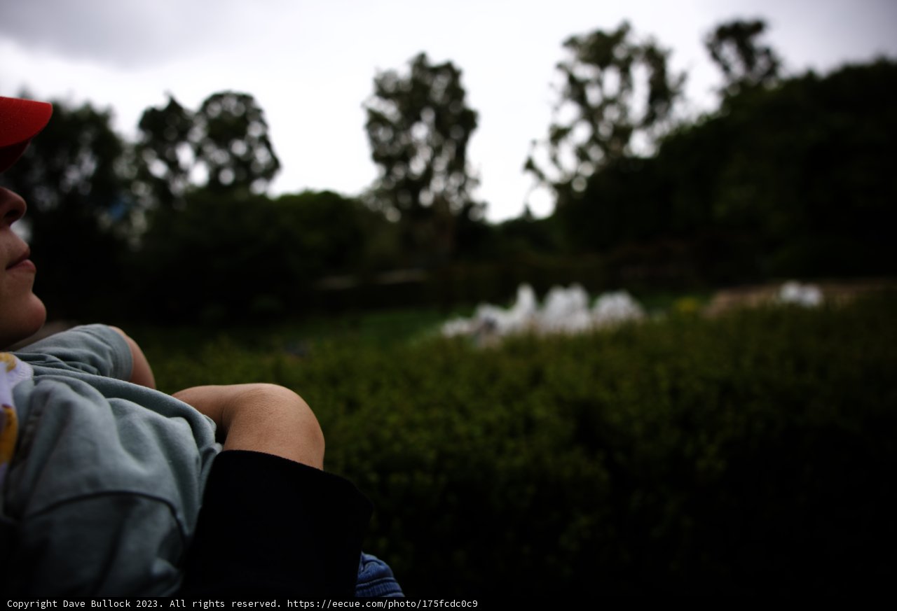 A Day at Disneyland with Little Explorer