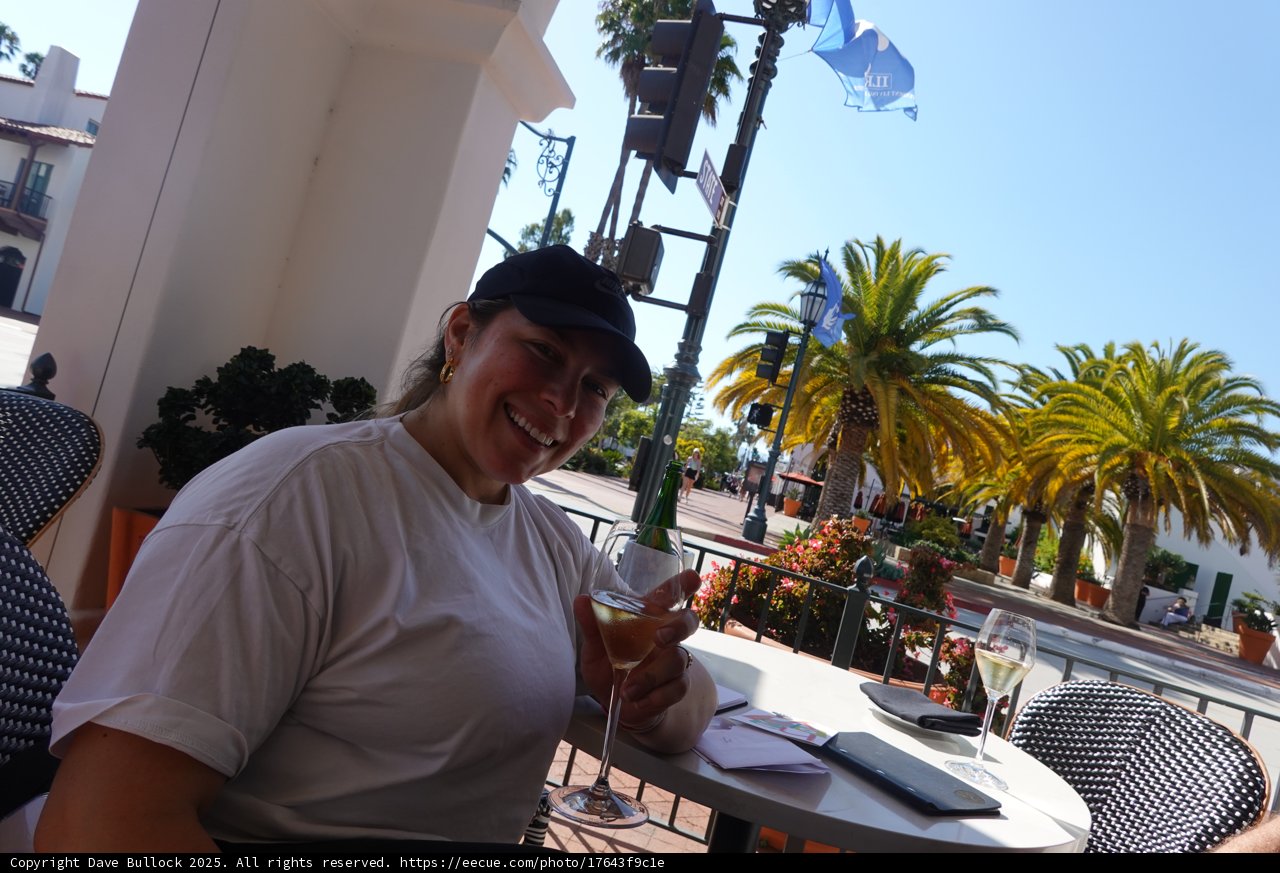 Summertime Sips Under the Palms