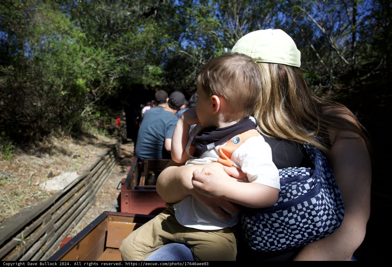 Journey Through the Woods on Tilden Steam Train