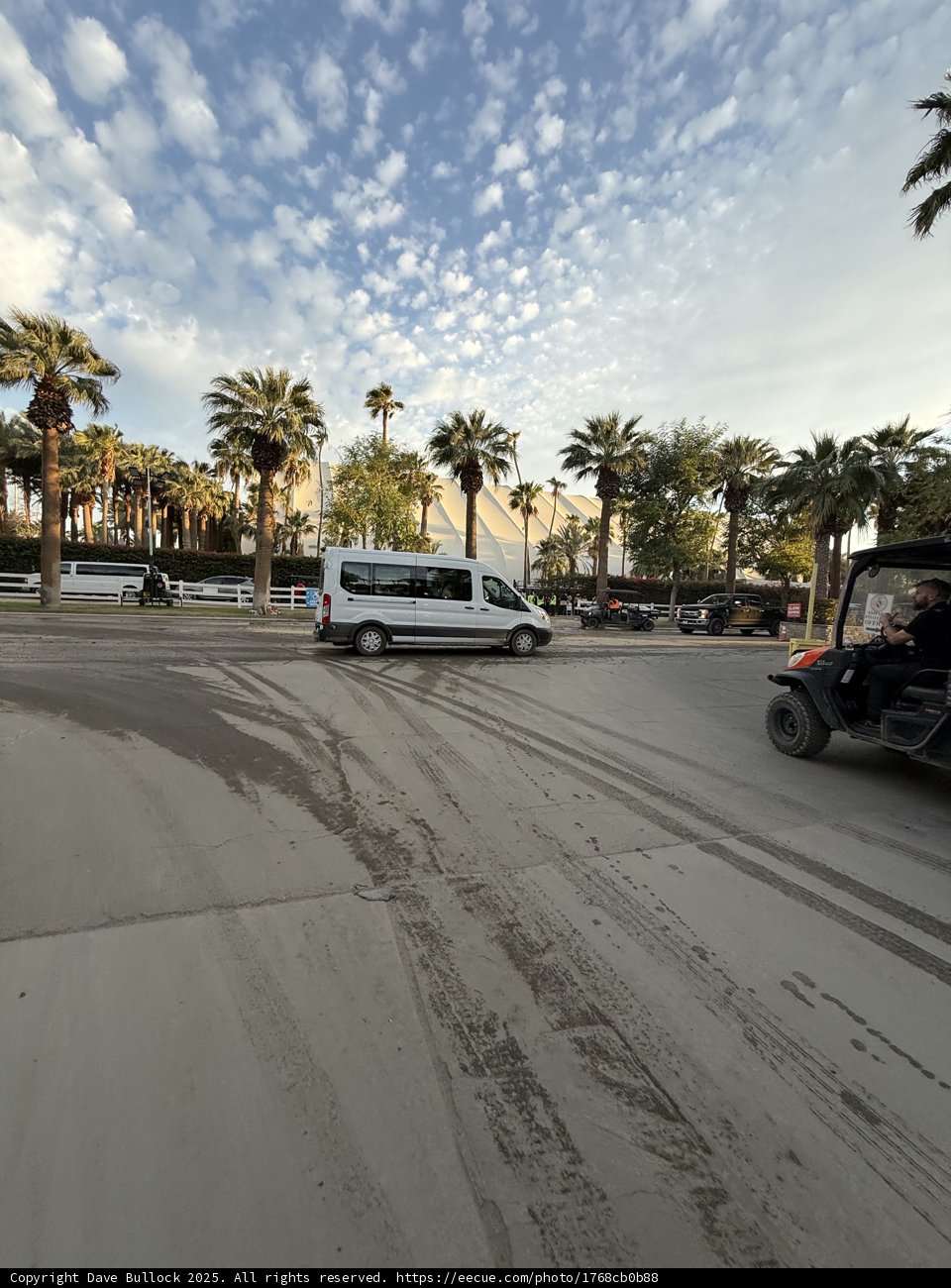 Urban Oasis in Motion