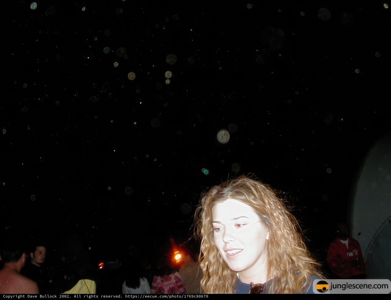 Mystery Woman in the Dark
