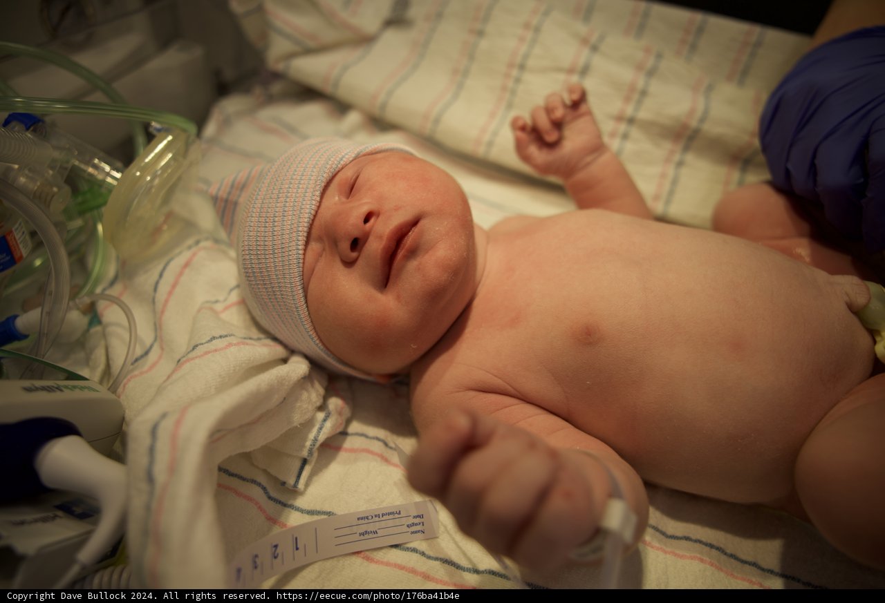Welcome to the World, Leland