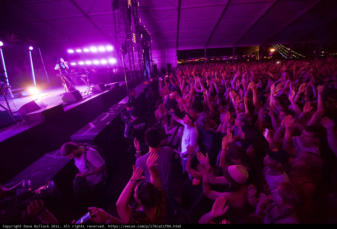 Purple Haze Concertgoers