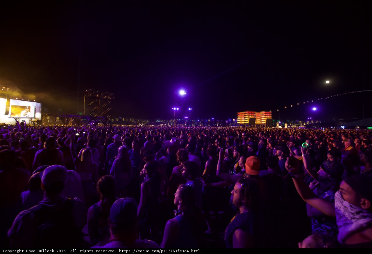 Night Sky Illuminates the Concert Crowd