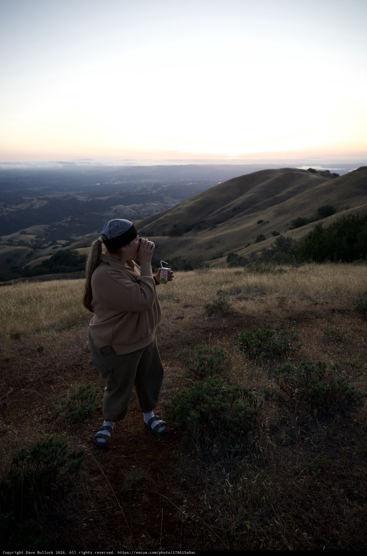 Twilight Sip Atop Mount Diablo's Golden Hills