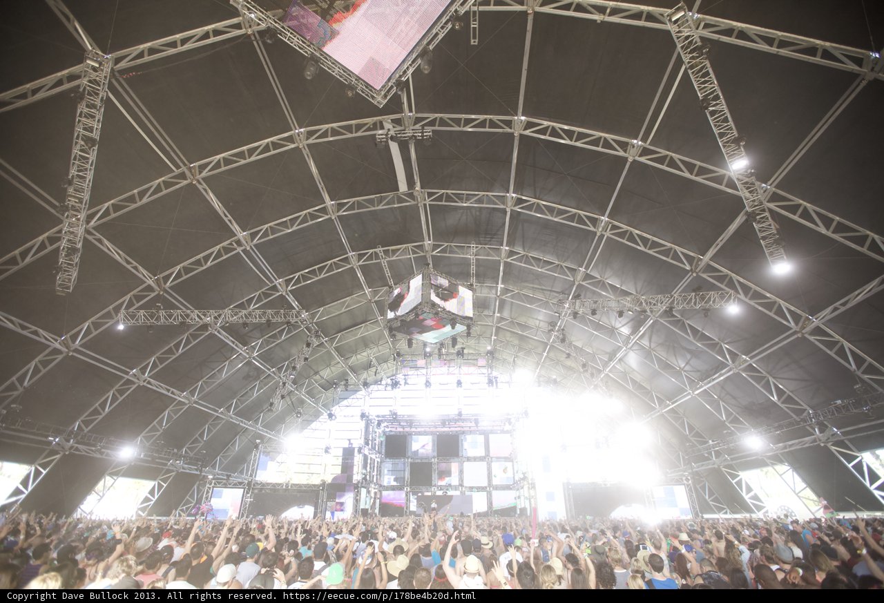 Electric Crowds at Coachella