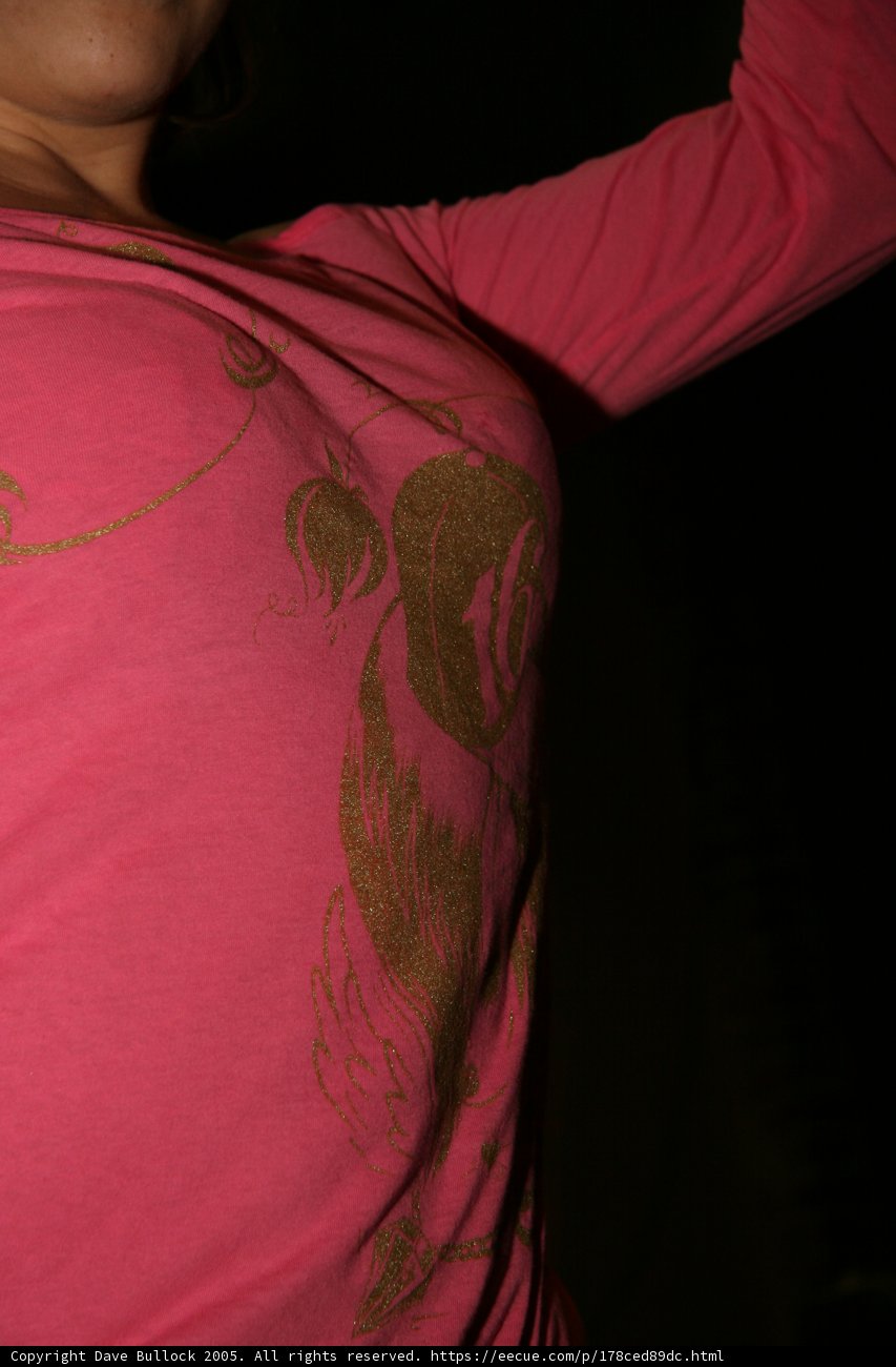 Golden Rose T-Shirt