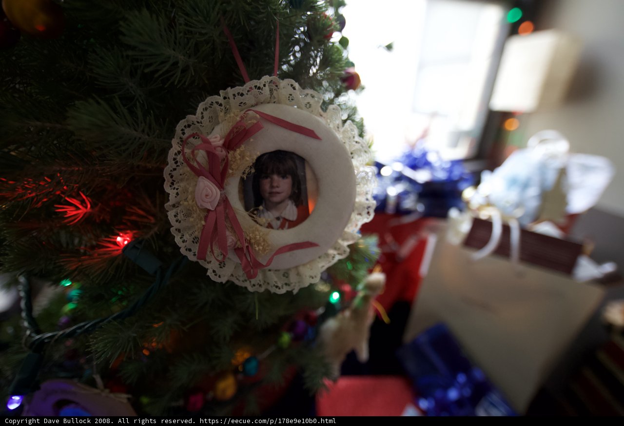 A Christmas Portrait on the Tree