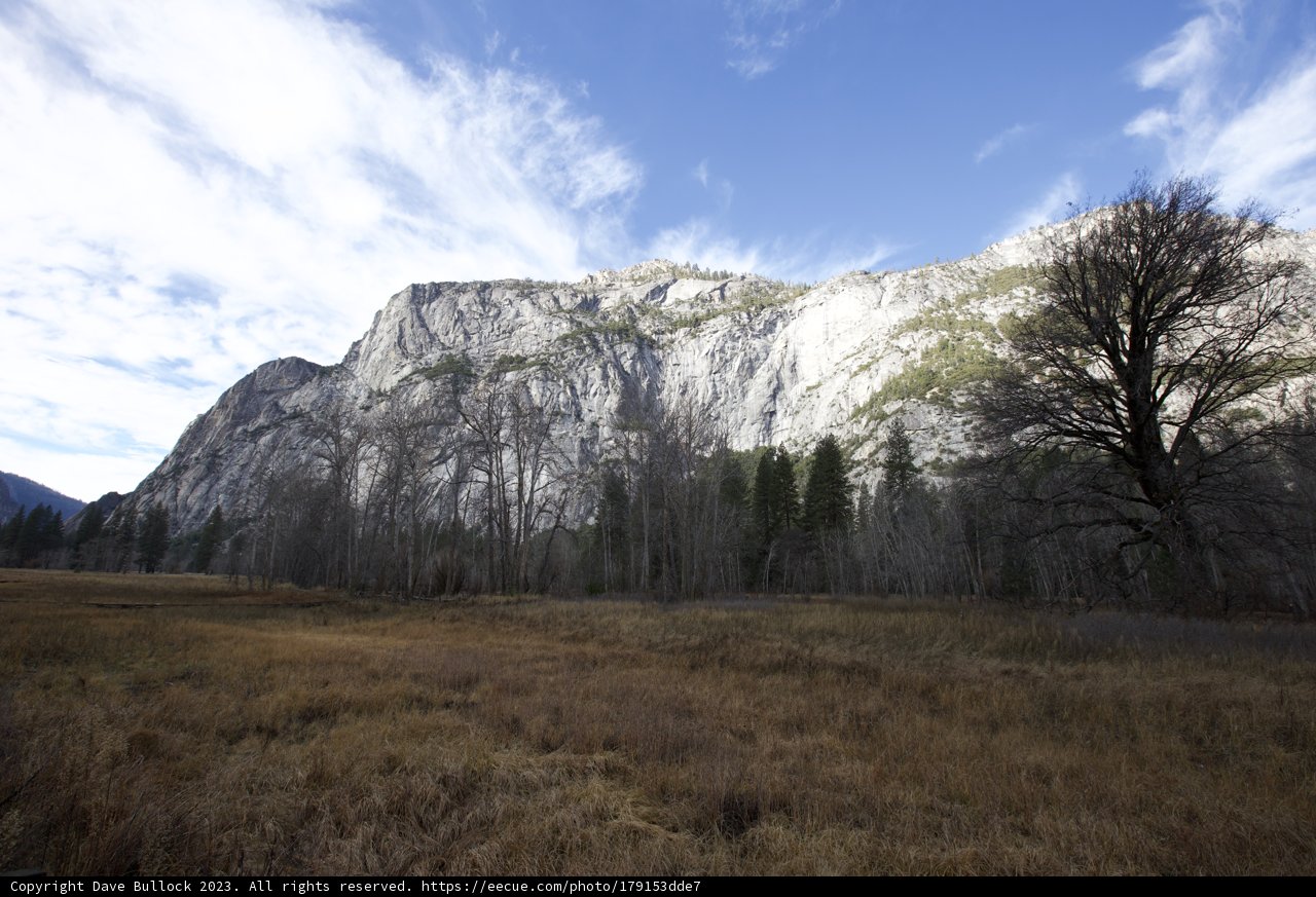 Yosemite's Winter Wonderland: A Distant Mountain View