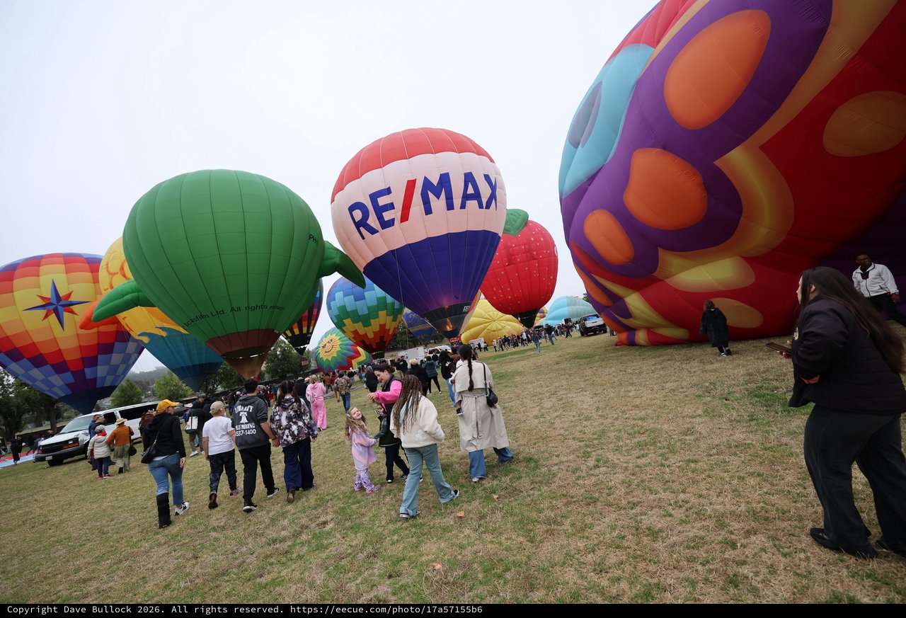 RE/MAX Balloon Soars at Sonoma County Hot Air Festival