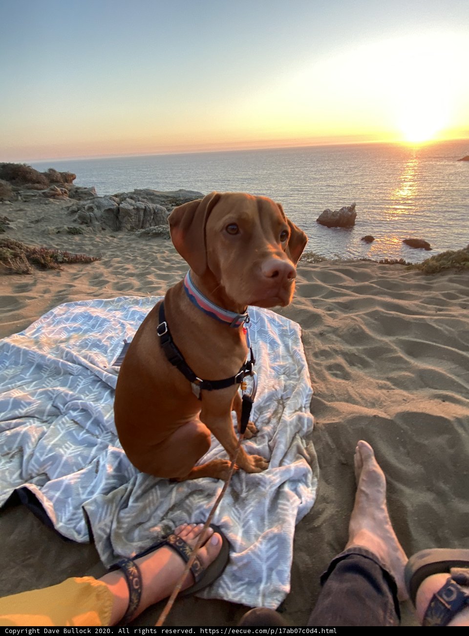 Sunset Serenity