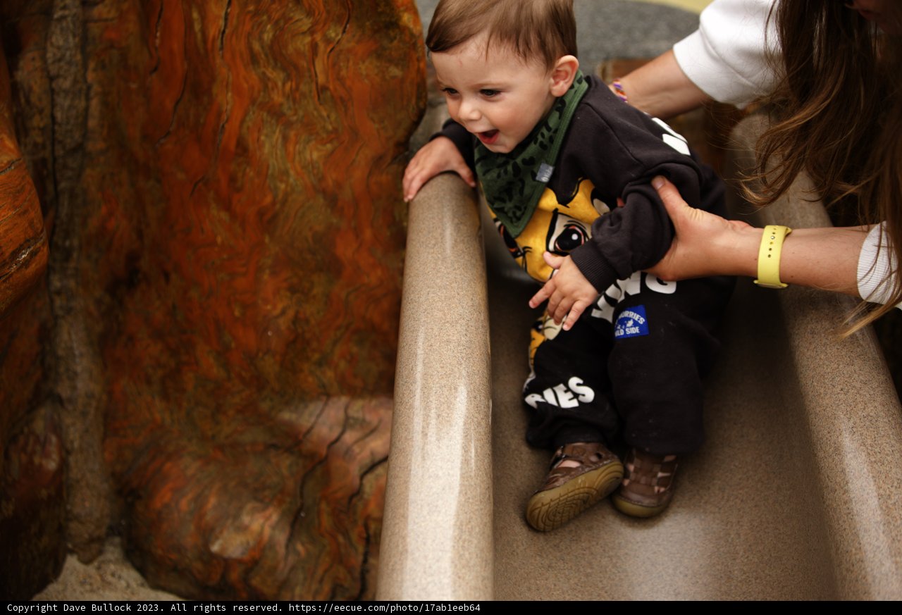 Joyful Moments at the San Francisco Zoo Playground