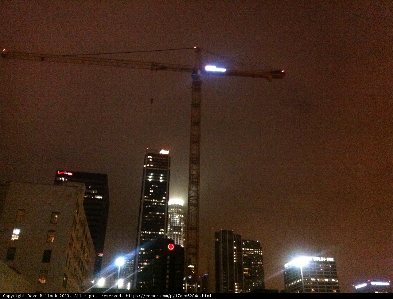 A Crane in the Night