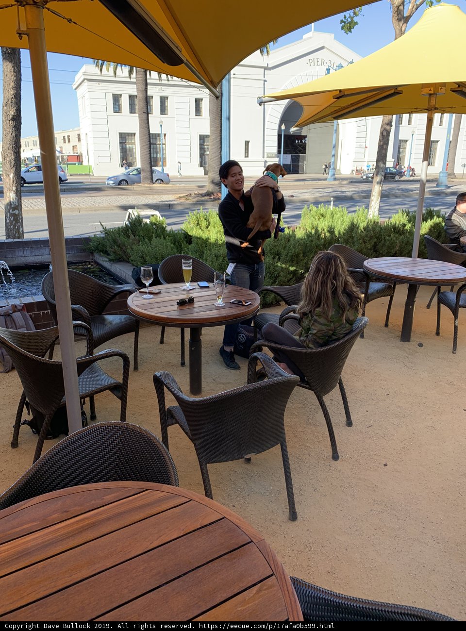 A Woman and Her Furry Companions Enjoy a Patio Lunch