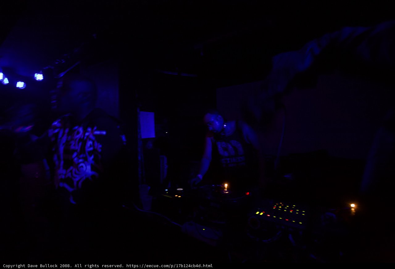 Blue Lit Crowd at a Stateside Concert