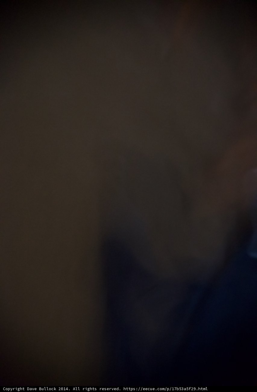 Blurry Portrait in Dark Room
