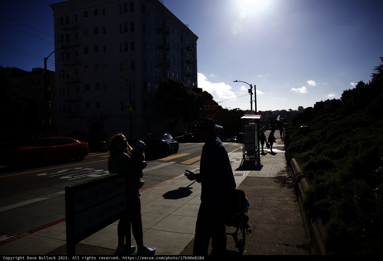 A Stroll through Alamo Square