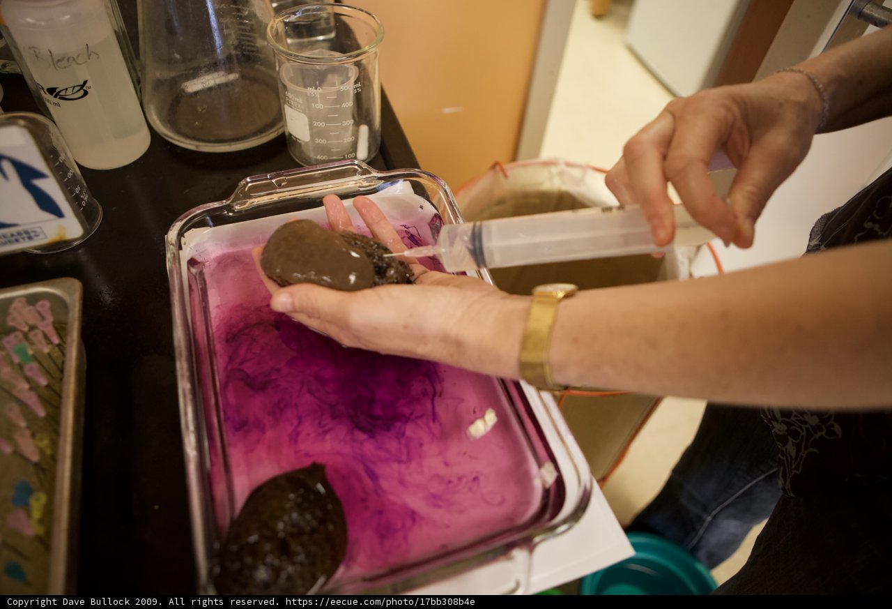 Cleaning up the Messy Purple Stain