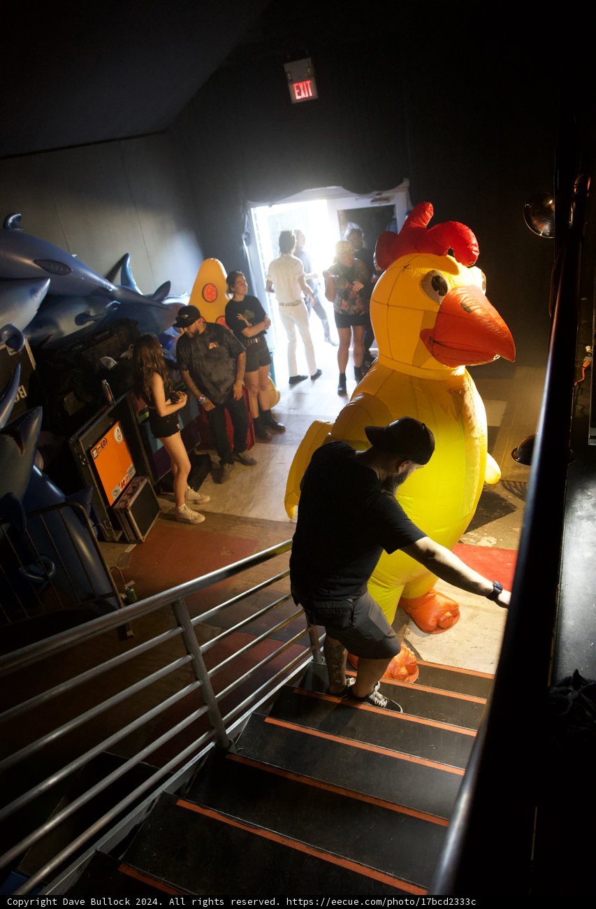 Backstage Antics: The Giant Rubber Chicken Incident - Coachella 2024