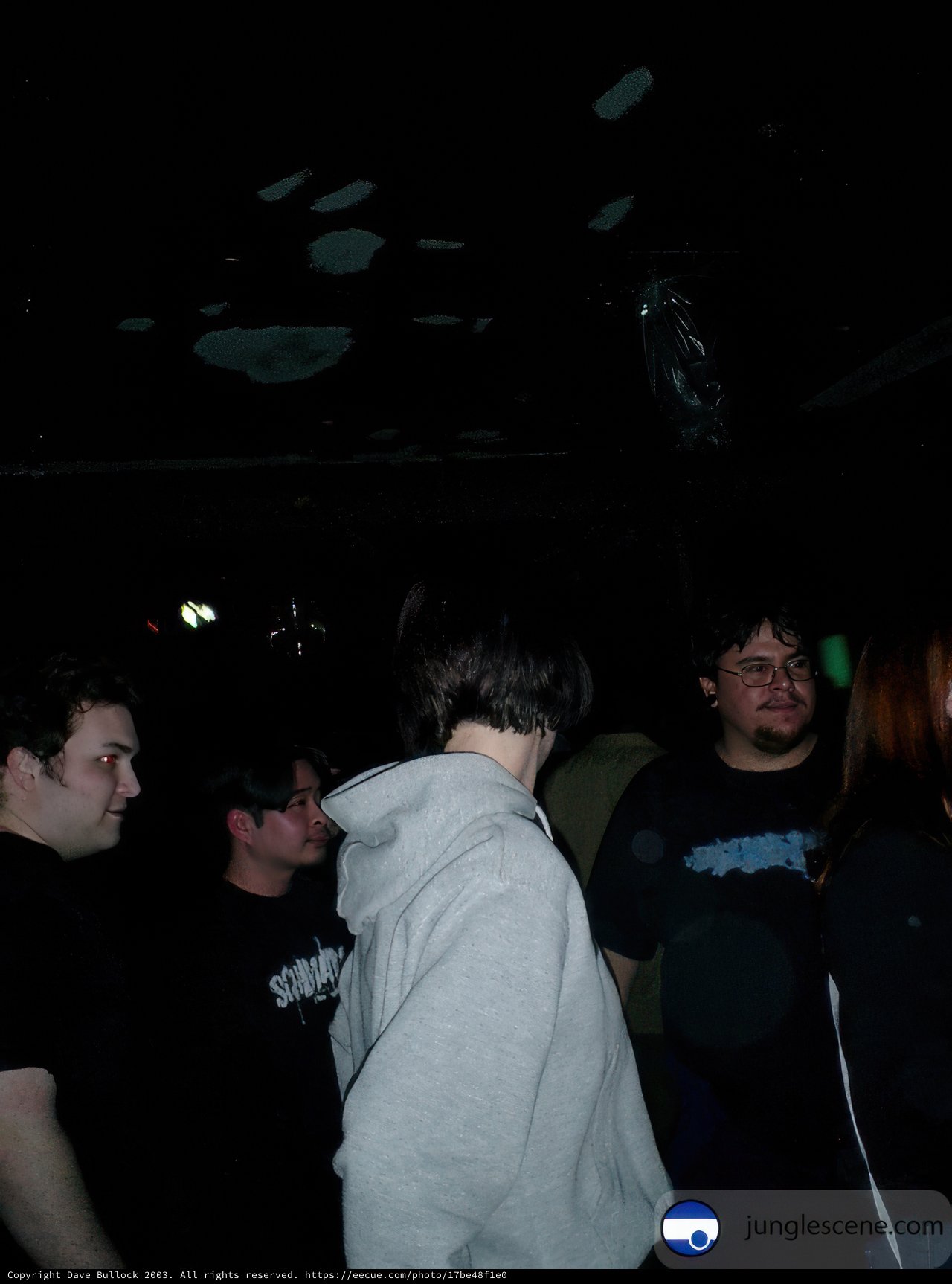 Nightclub Gathering