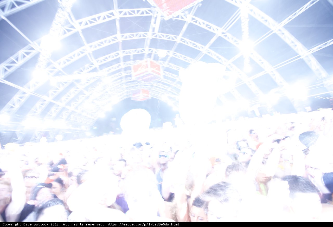Faces in the Crowd at Coachella Music Festival
