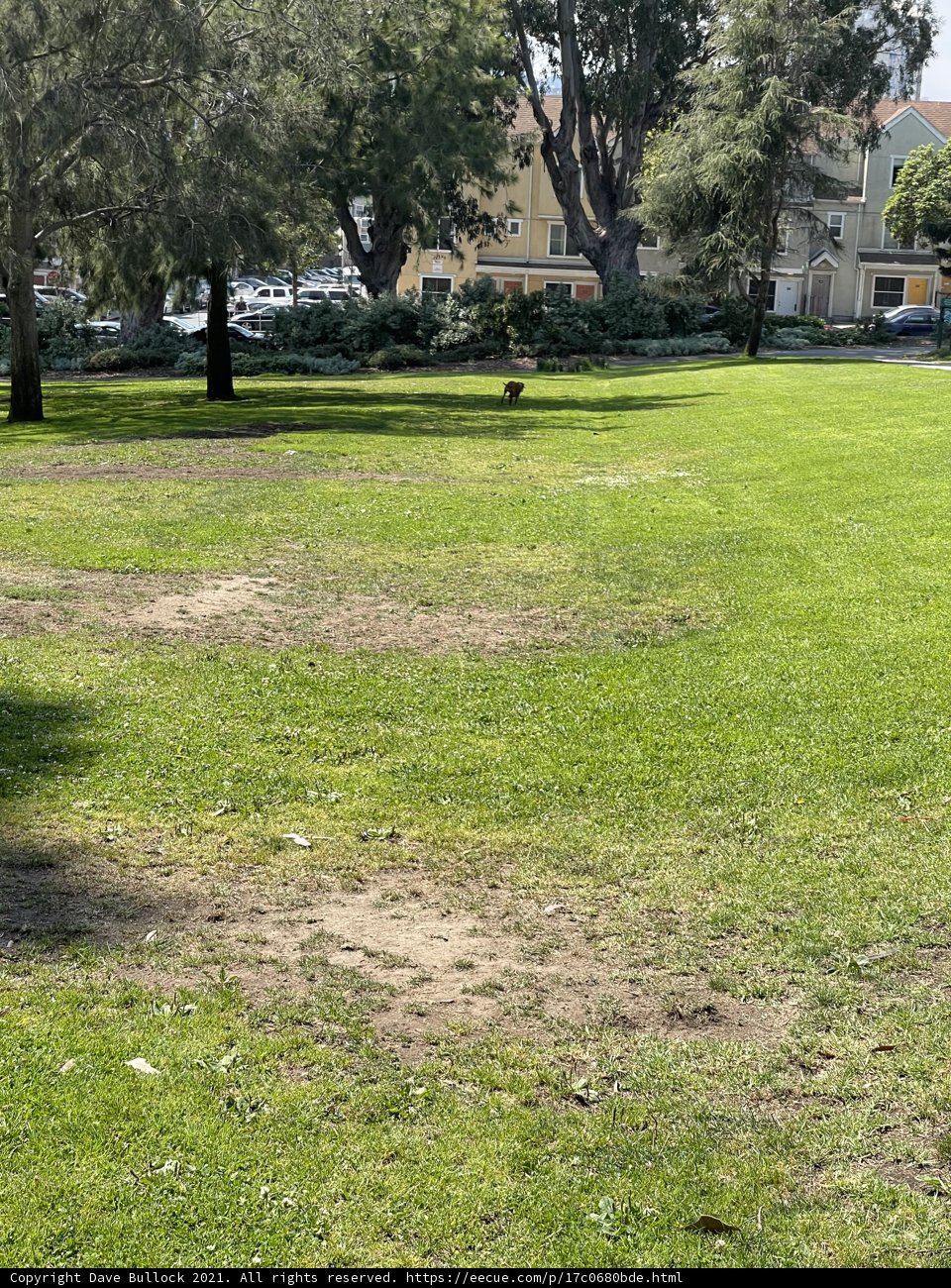 A Serene Day in Jefferson Square