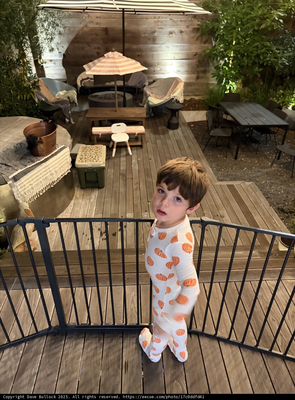 Evening Wonder on the Deck