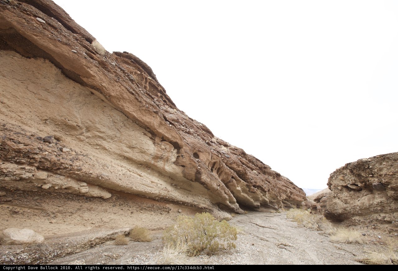 Desert Trek