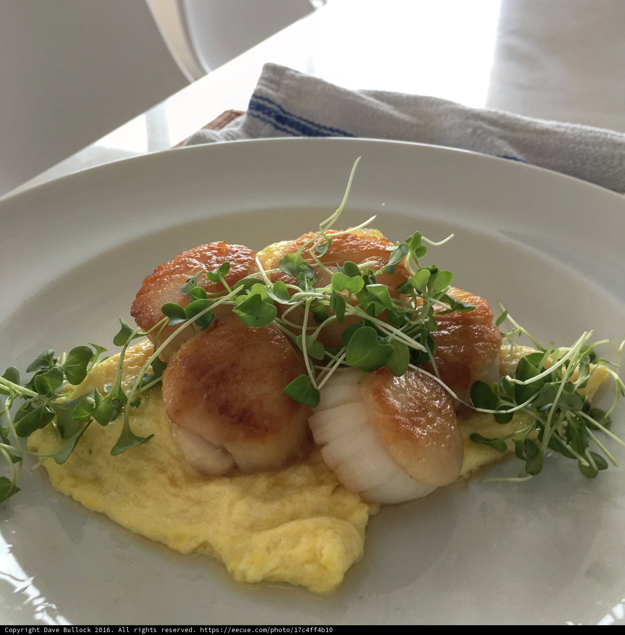 Seafood Brunch Delight