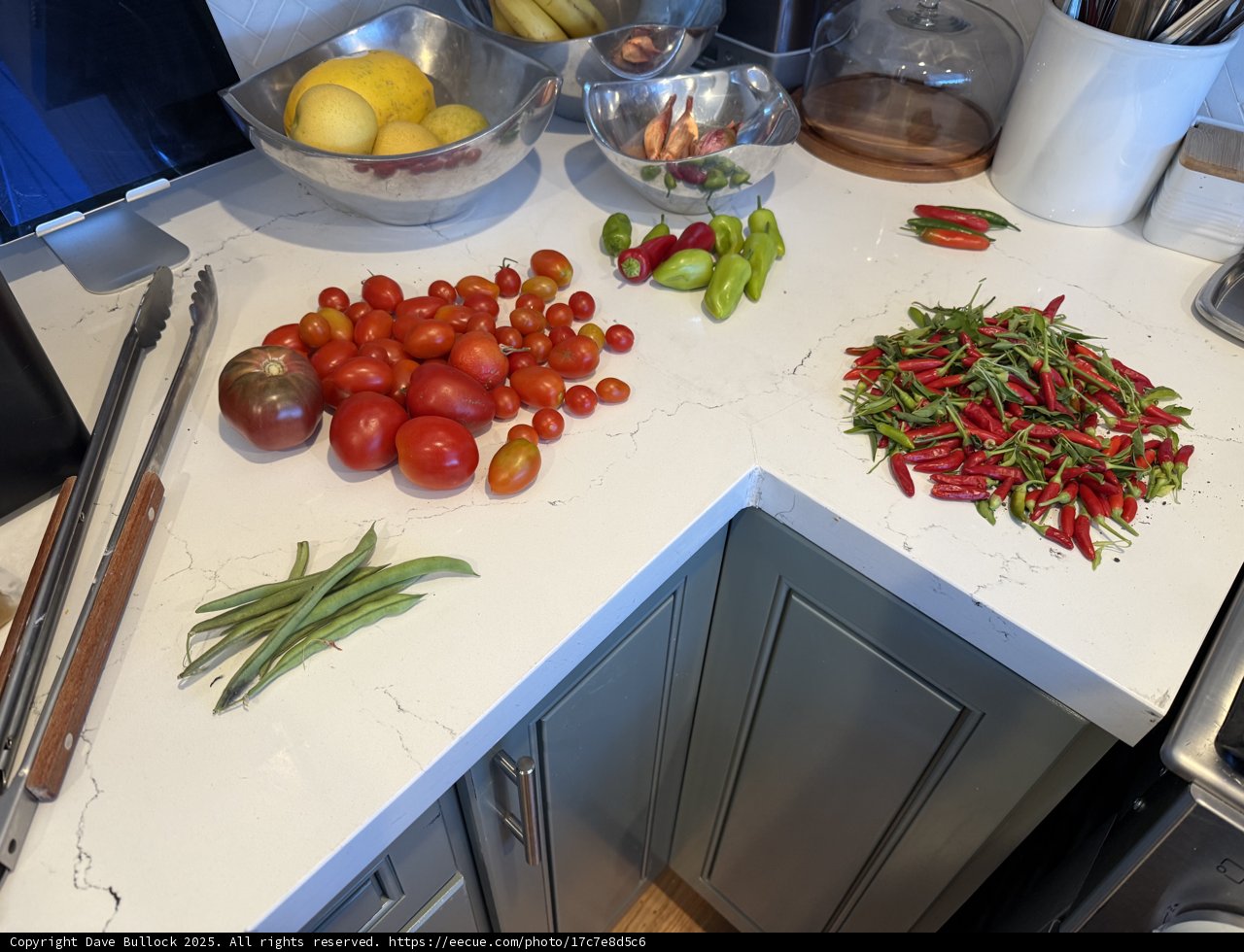 Tech Meets Harvest