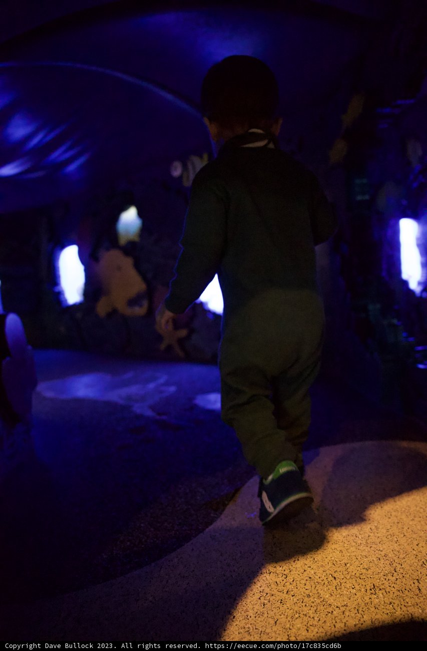 Enchanted Journey through the Illuminated Blue Tunnel